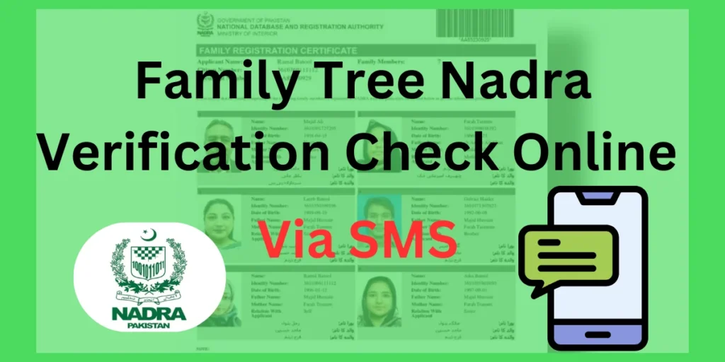 How to Check Your Family Tree Online in Pakistan