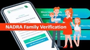 How to Check Your Family Tree Online in Pakistan