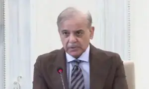IT exports projected to reach $4bn during current fiscal year, PM Shehbaz told